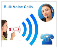 Bulk Voice Call Services